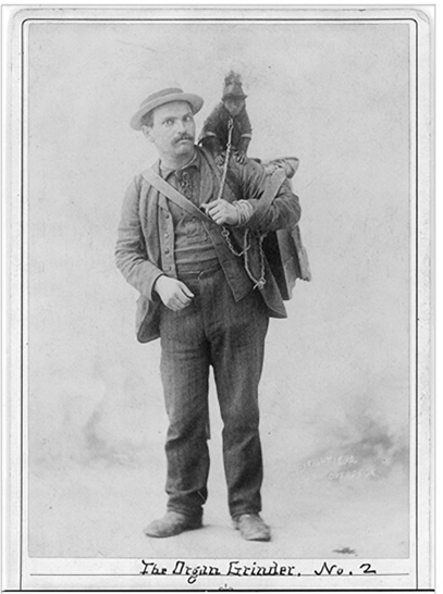 Organ Grinder NYC 1890s